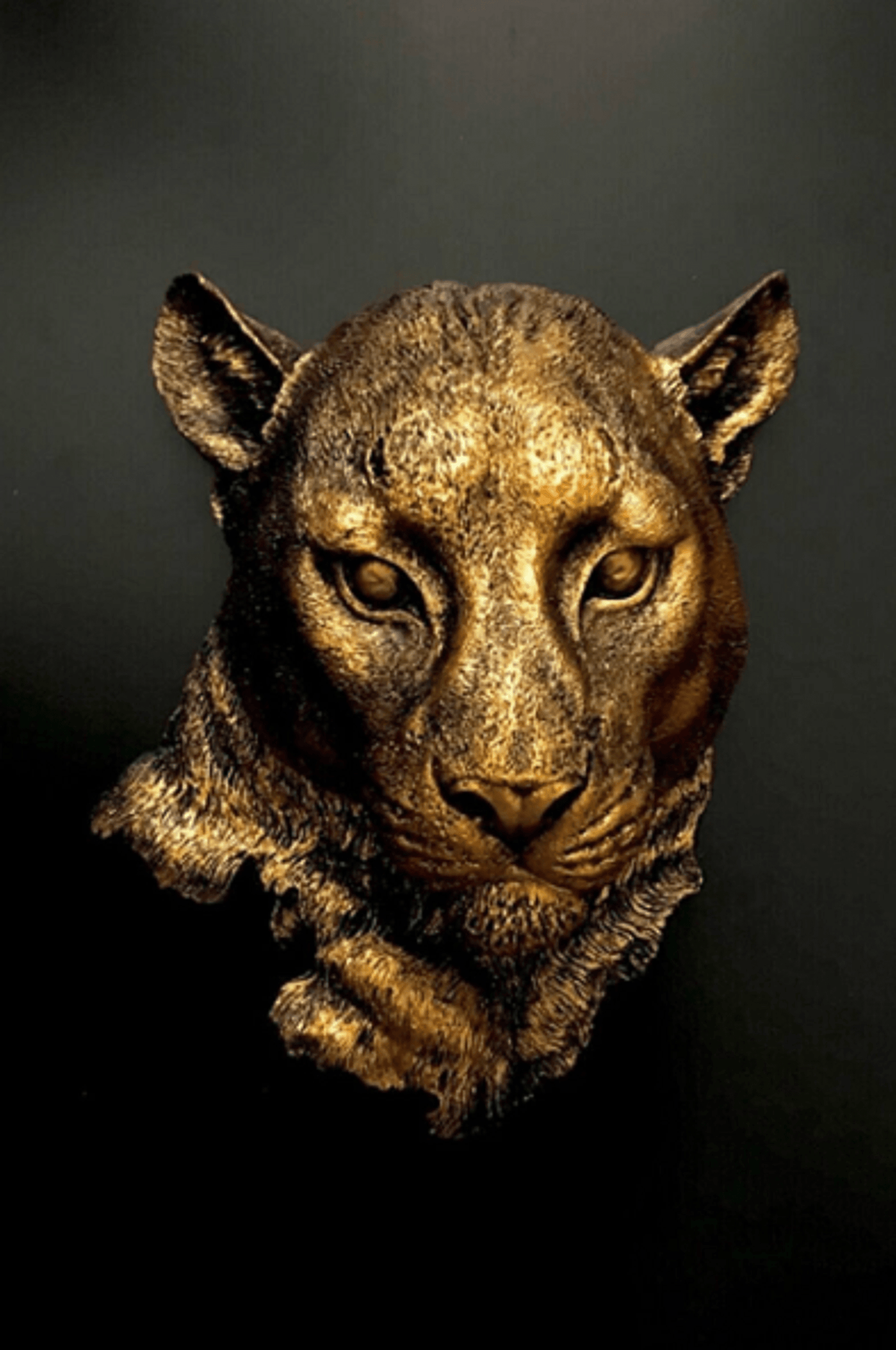 Panther Head Wall Sculpture, 22 cm / 9", Puma Head Wall Decor